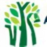 Abhay International School logo