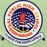 Akal Public High School logo