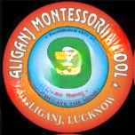Aliganj Montessori Senior Secondary School logo