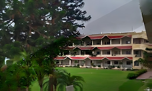 Alpine International School — photo 1