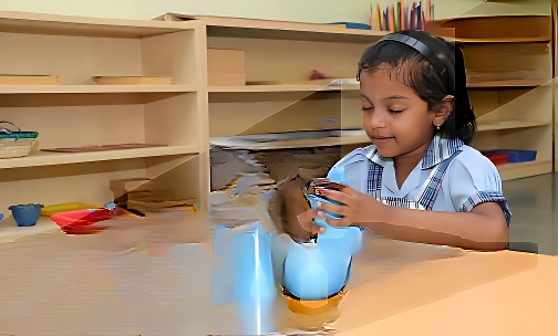 American Montessori Public School — photo 10
