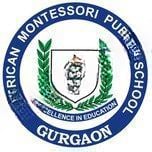 American Public School logo