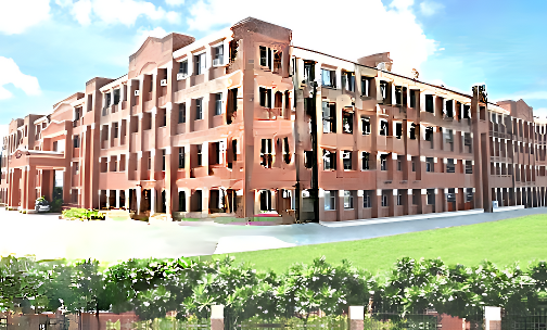 Amity International School — photo 1