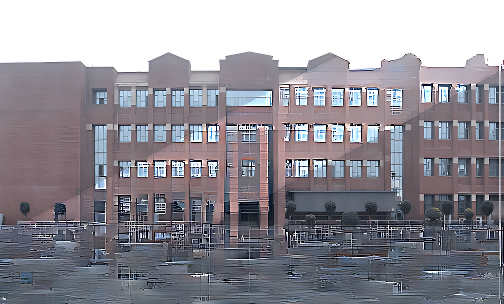 Amity International School — photo 6