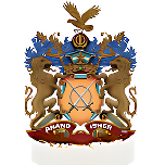 Anand Isher Pub School logo