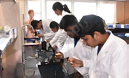 Apeejay School International — photo 4