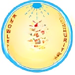 Auxilium Convent High School logo