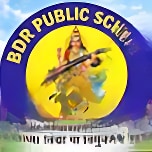 B D R Public School logo