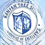 Banyan Tree School logo