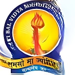 Bharti Bal Vidya Mandir Gandhi Nagar logo