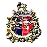 Bhavani Shankar Road Junior College of Science logo