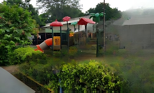 Birla Vidya Niketan — photo 5