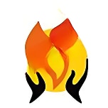 Birla Vidya Niketan logo