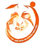 Bkn Public School logo