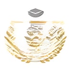 BLISS International School logo