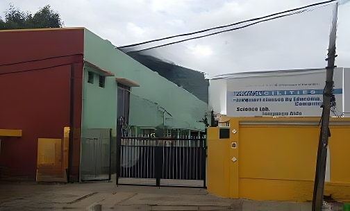 Blossom School — photo 1