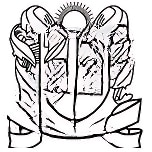BMN Public School logo