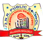 BNR Public School logo