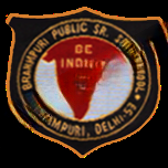 Brahampuri Public Senior Secondary School logo