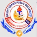 Bright Brains Public Collegiate logo