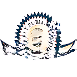 Bright Public School logo