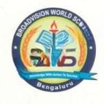 Broadvision World School logo