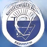 Brooklyn National Public School logo