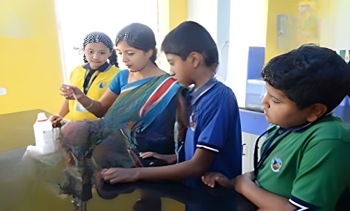 BRS Global School — photo 12