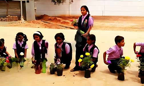 BS International School — photo 6