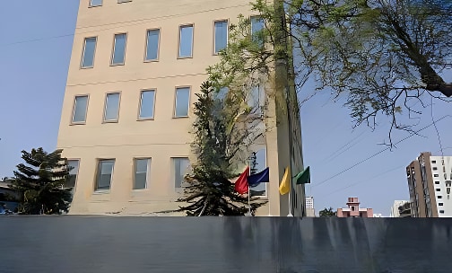 BUD’S International School — photo 1