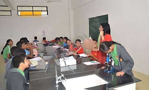 Caelum High School — photo 3