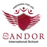 Candor International School logo