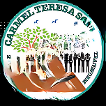 Carmel Teresa School logo