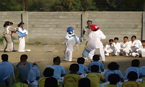 Chate School — photo 5
