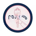 Chhoturam Public School logo