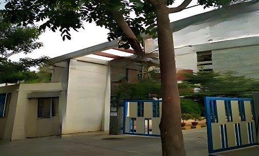 Chrysalis High — photo 2