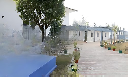 City Montessori School — photo 1