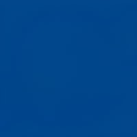 Colonel's Central Academy School logo