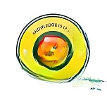 CP Goenka International School logo