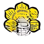 D.S. High School logo