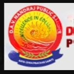 Dav Nandraj Public School logo