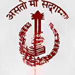 Dav Public School logo