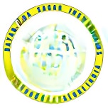 Dayananda Sagar International School logo