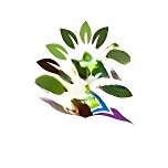 Delhi City School logo