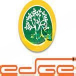 Delhi International School Edge logo