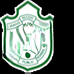 Delhi Public School logo