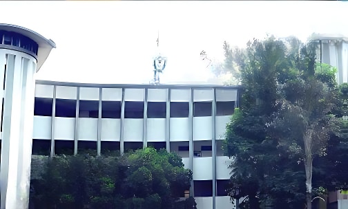 Delhi Public School — photo 3