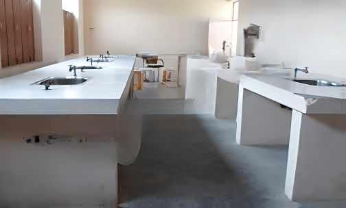 Dhankhar Senior Secondary School — photo 2