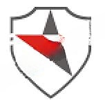 Dhruv Global School logo