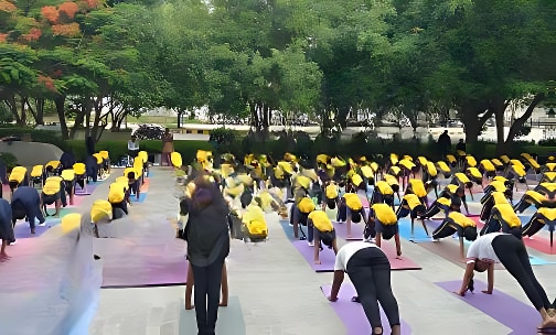 Diya Academy of Learning — photo 11